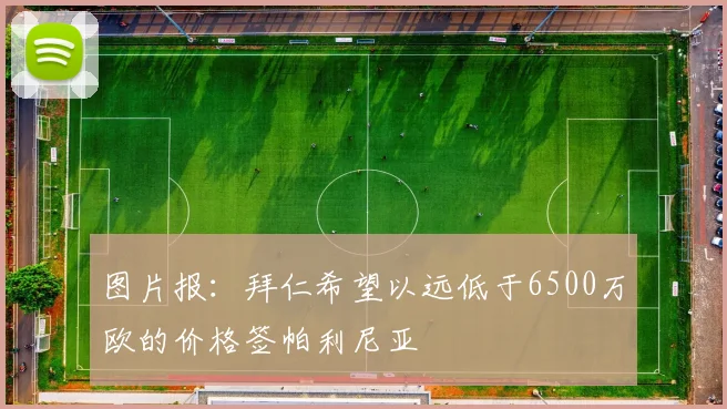 图片报：拜仁希望以远低于6500万欧的价格签帕利尼亚