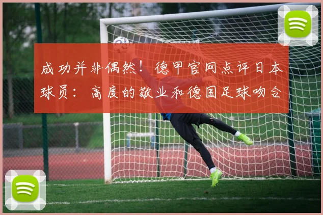 成功并非偶然！德甲官网点评日本球员：高度的敬业和德国足球吻合