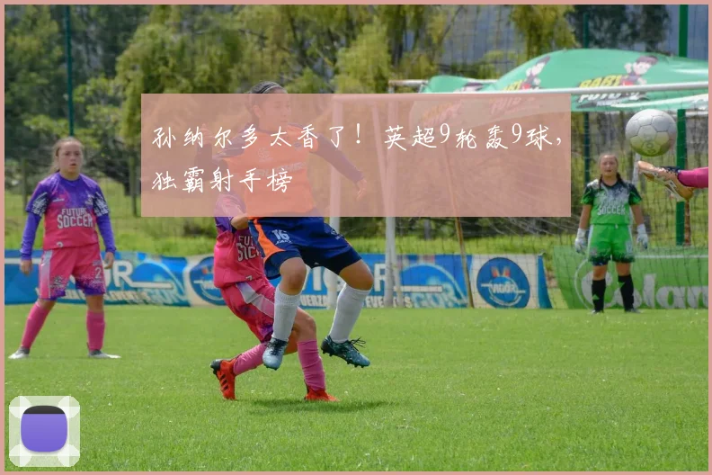 孙纳尔多太香了！英超9轮轰9球，独霸射手榜